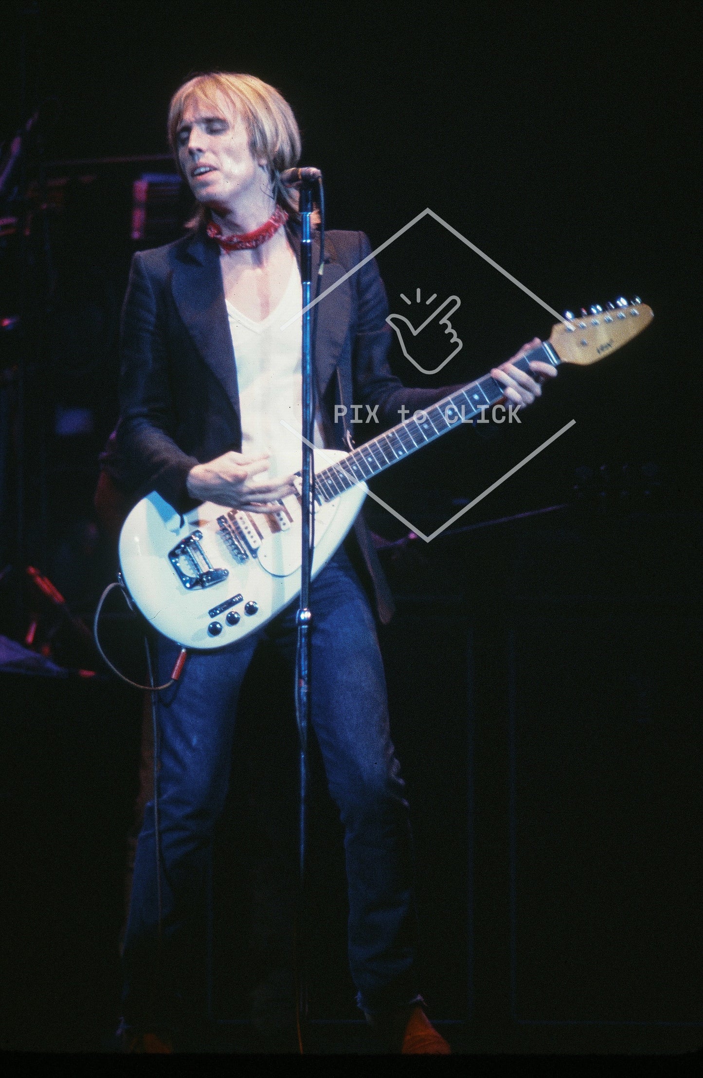 Tom Petty and the Heartbreakers - Nassau Coliseum -  Uniondale, NY - August 6, 1981