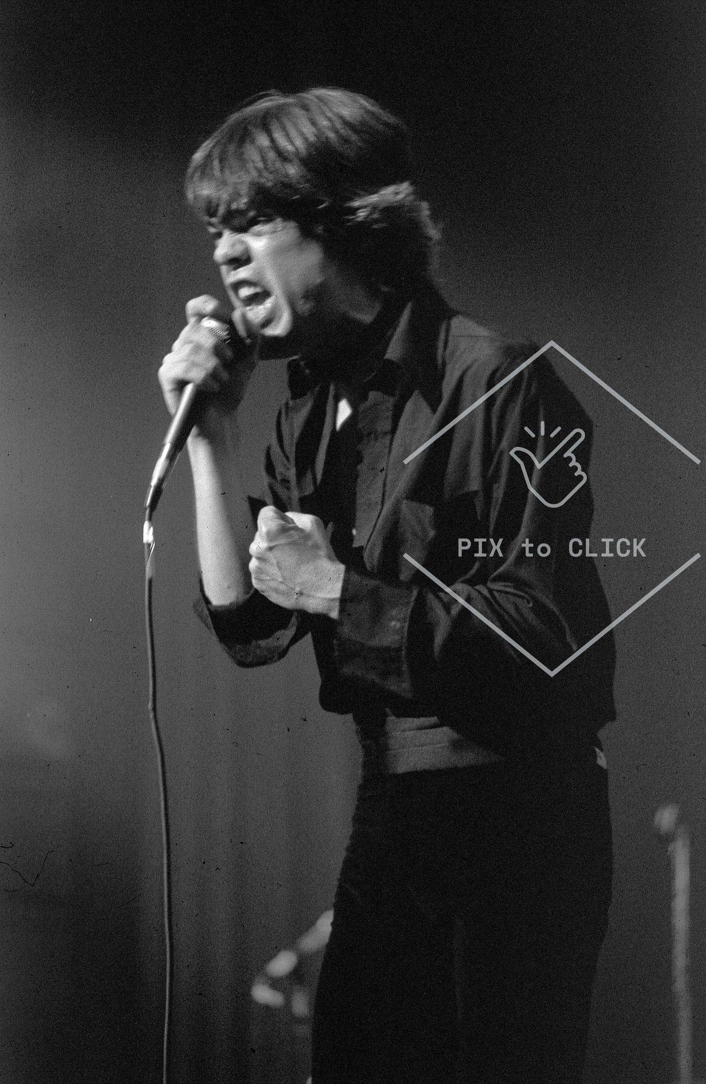 David Johansen performs at benefit concert for Indochinese refugees - The Palladium - New York City - February 16, 1979