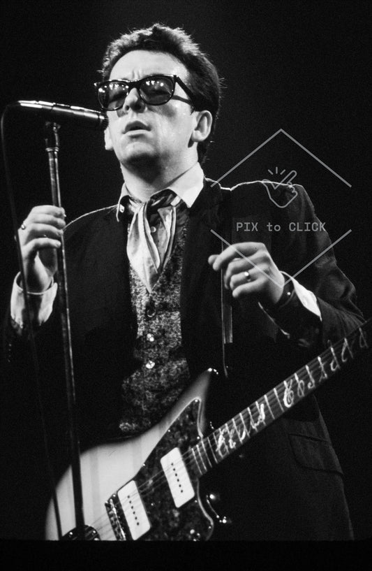 Elvis Costello and the Attractions - The Palladium - New York City - January 31, 1981