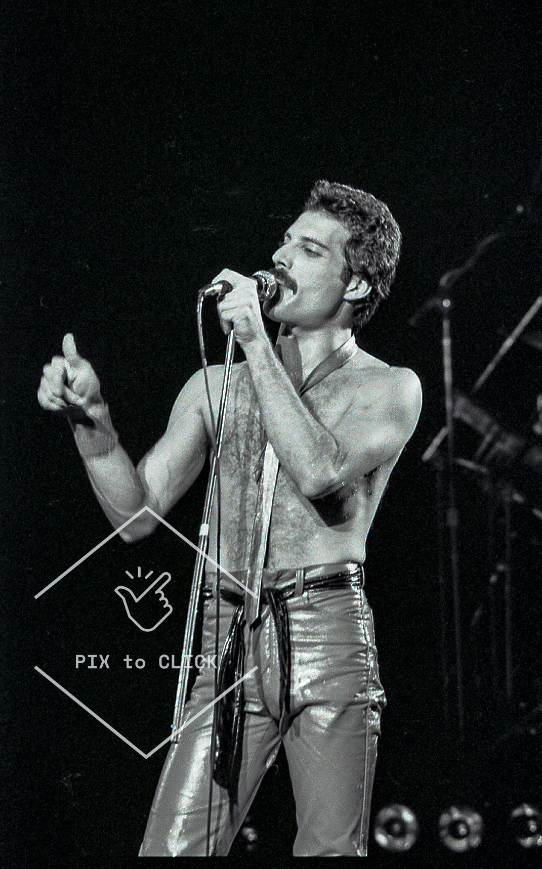 Freddie Mercury - Queen -  Madison Square Garden - New York City - September 29, 1980