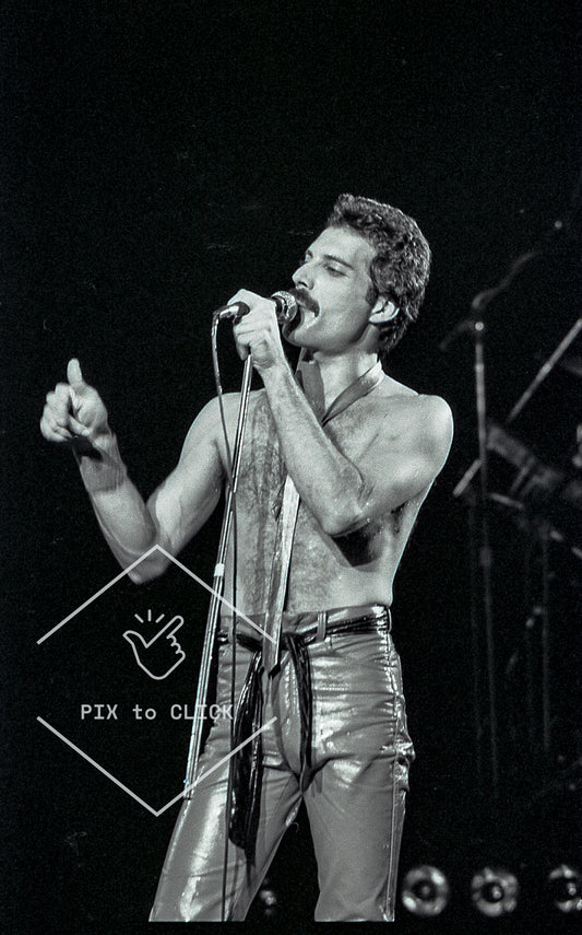Freddie Mercury - Queen -  Madison Square Garden - New York City - September 29, 1980