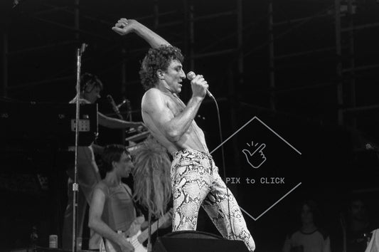 Fee Waybill - The Tubes - Dr. Pepper Central Park Music Festival - New York City - July 18, 1979