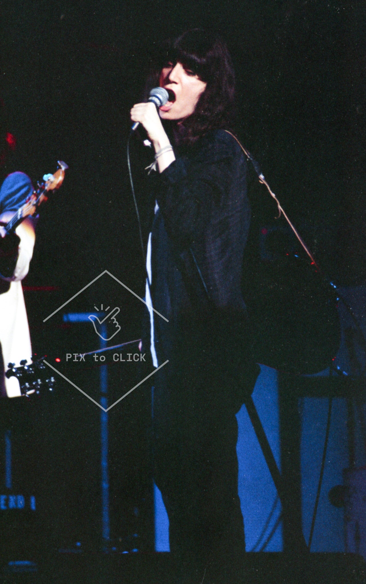 Patti Smith performs at benefit concert for Indochinese refugees - The Palladium - New York City - February 16, 1979