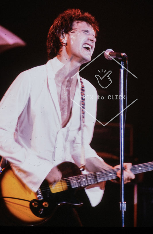 Ray Davies -  The Kinks - Nassau Coliseum -Uniondale, NY  - October 26, 1980
