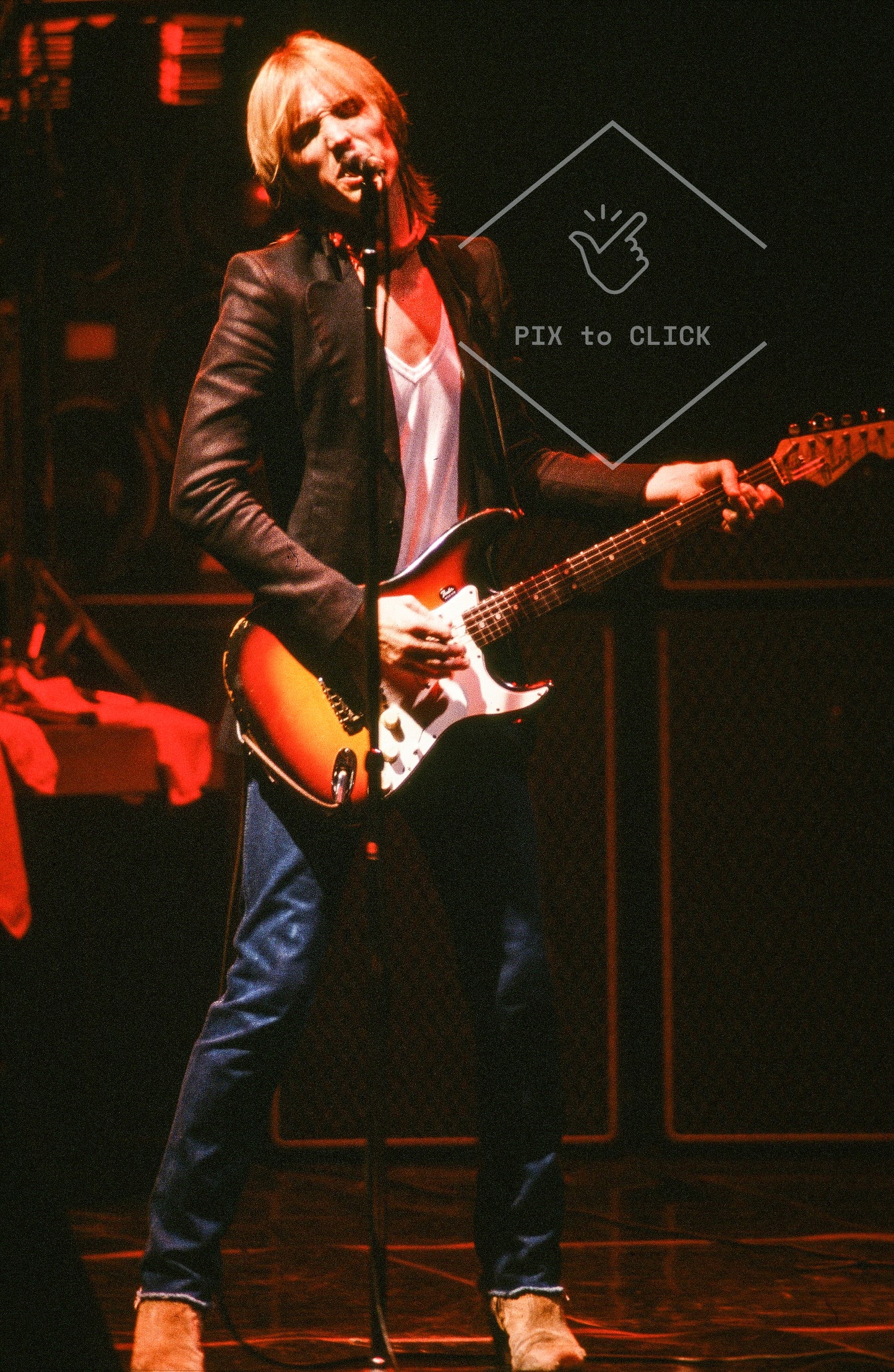 Tom Petty and the Heartbreakers - Nassau Coliseum - Uniondale, NY - August 6, 1981