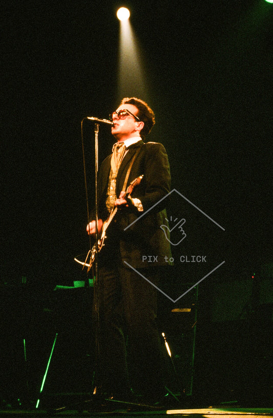 Elvis Costello and the Attractions - The Palladium - New York City - January 31, 1981
