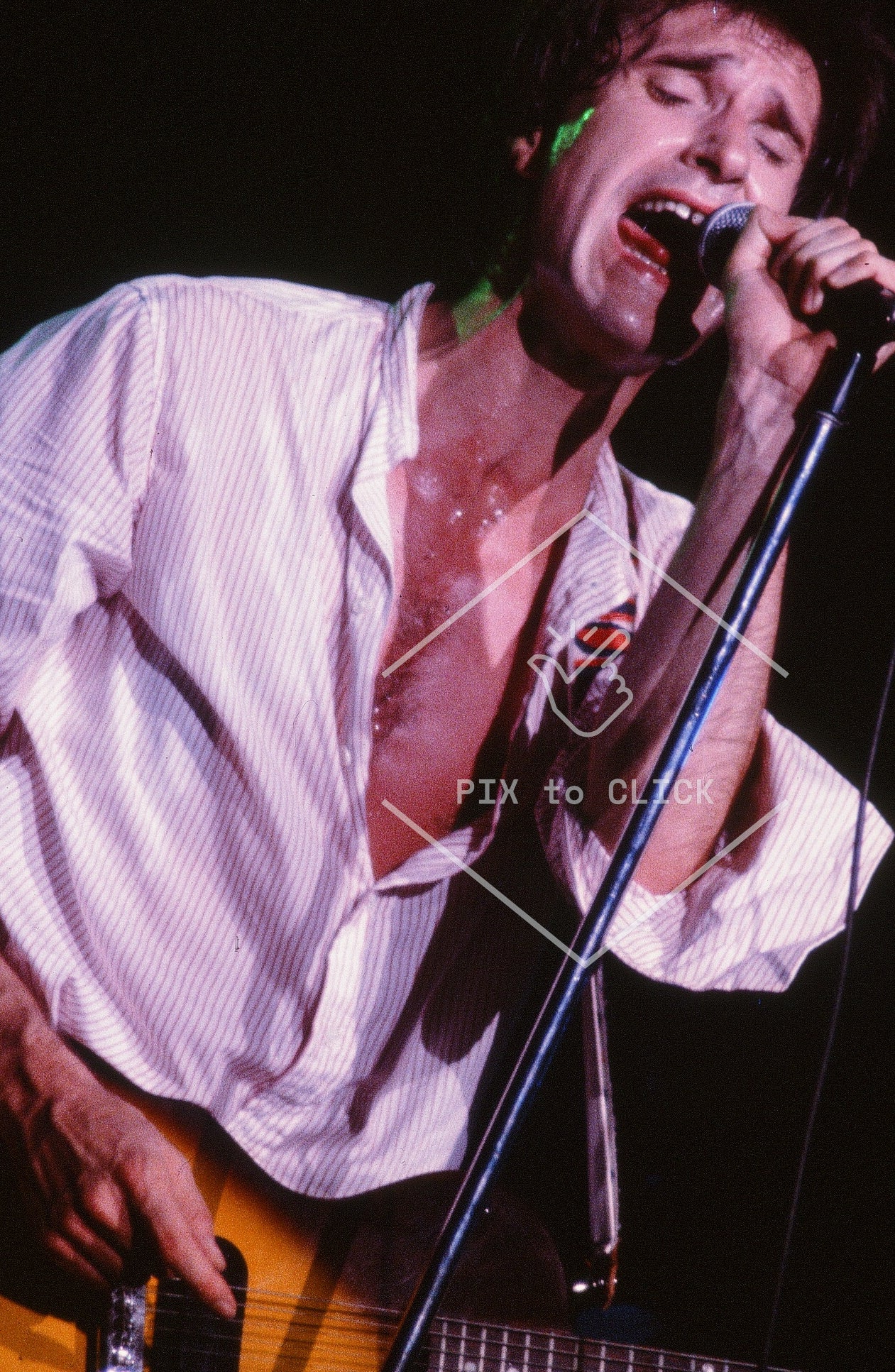 Ray Davies -  The Kinks - Nassau Coliseum -Uniondale, NY  - October 26, 1980