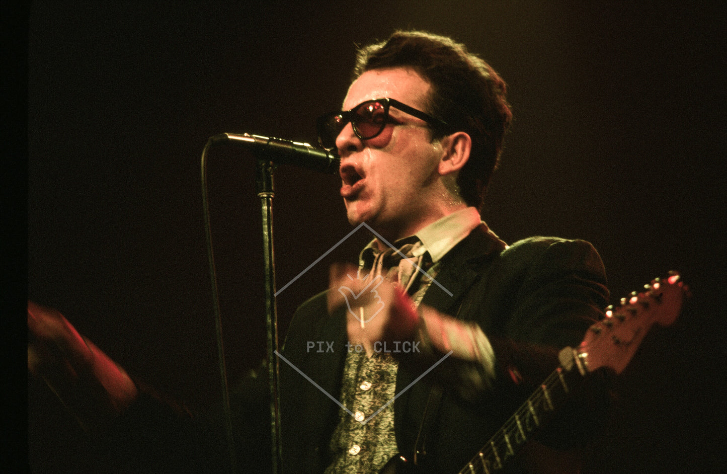 Elvis Costello and the Attractions - The Palladium - New York City - January 31, 1981