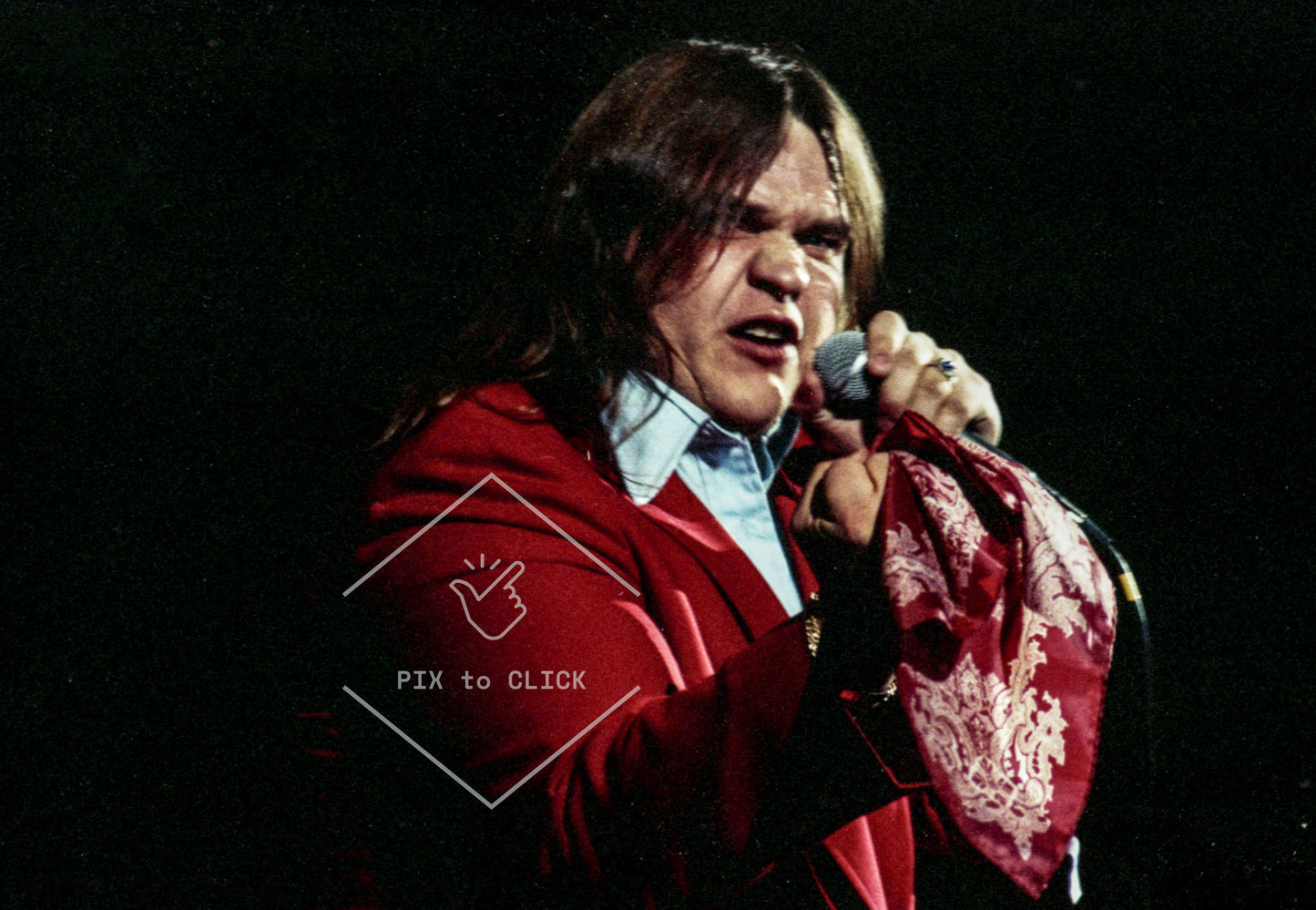 Meat Loaf performs at a benefit for Indochinese refugees - The Palladium - New York City - February 16, 1979